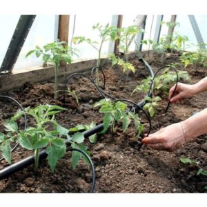 Kastmissüsteem kasvuhoonele Klasika Spider